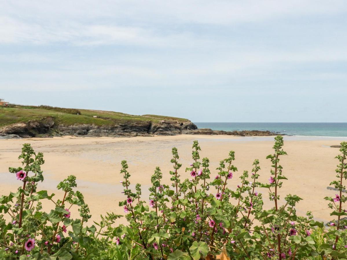 פדסטואו Constantine Bay Cottage מראה חיצוני תמונה