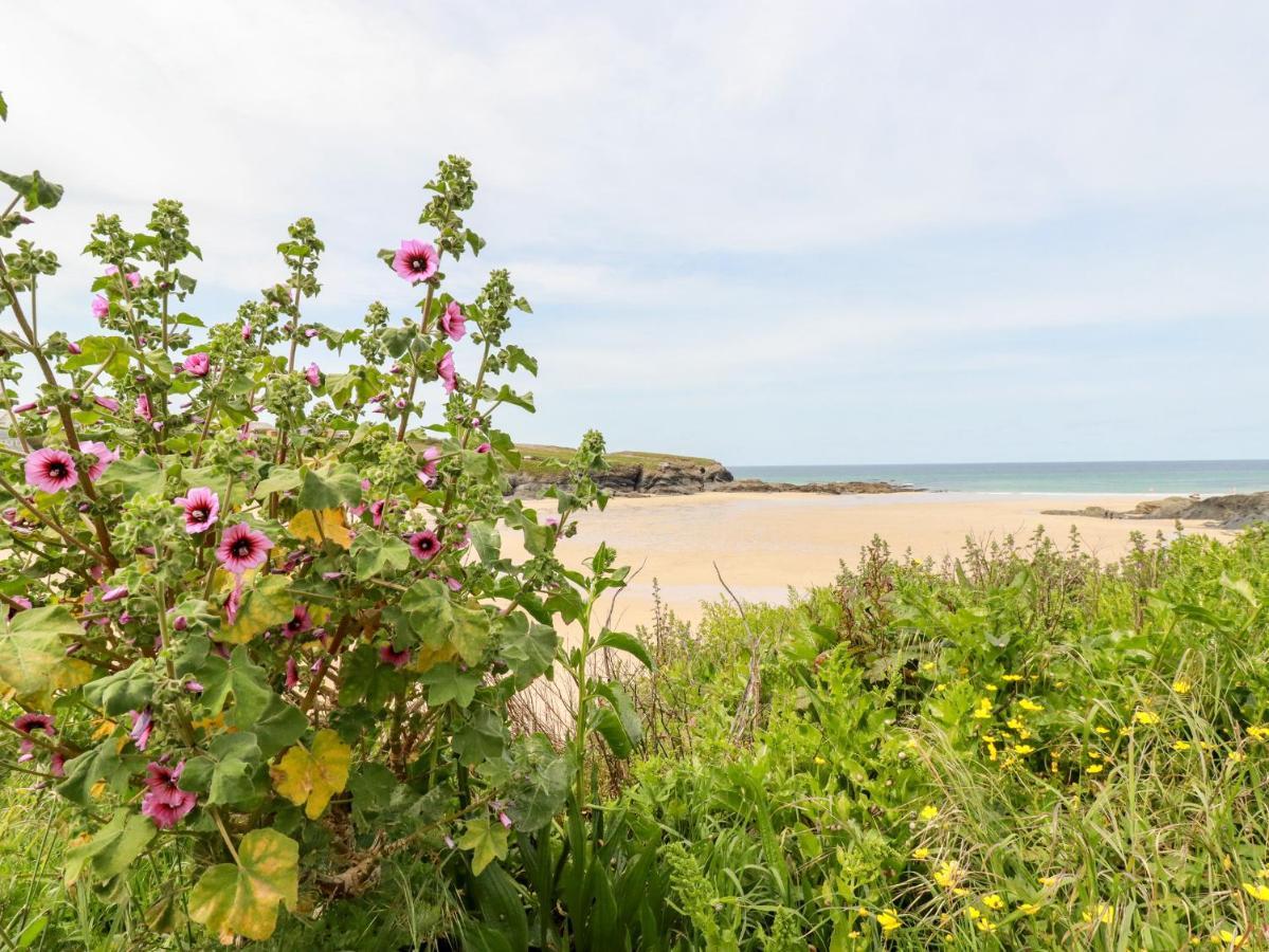 פדסטואו Constantine Bay Cottage מראה חיצוני תמונה